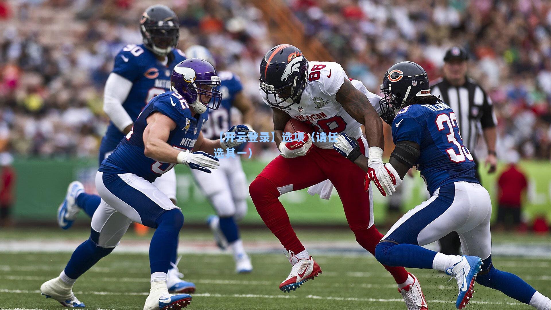 选项(请任选其一)