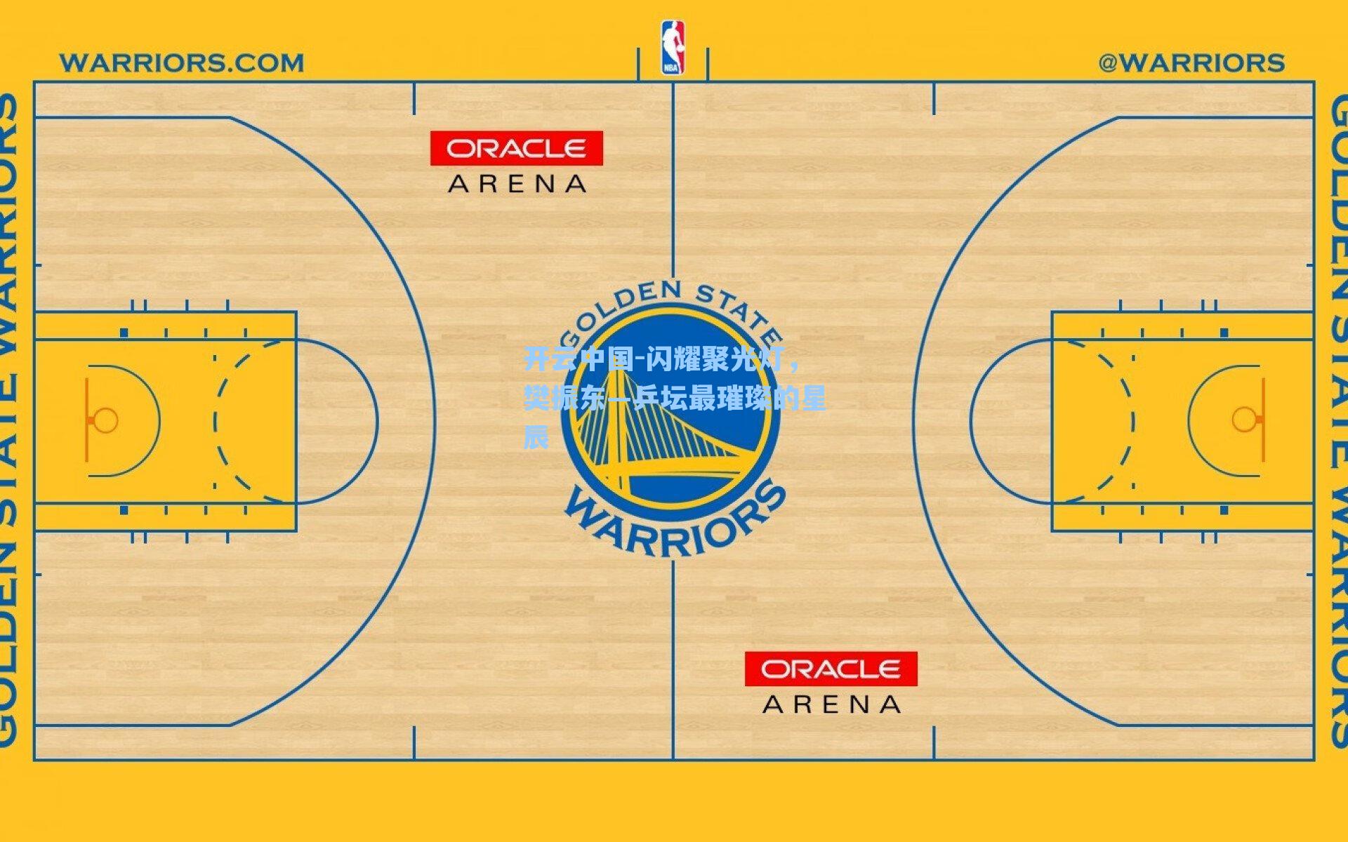 闪耀聚光灯,樊振东—乒坛最璀璨的星辰